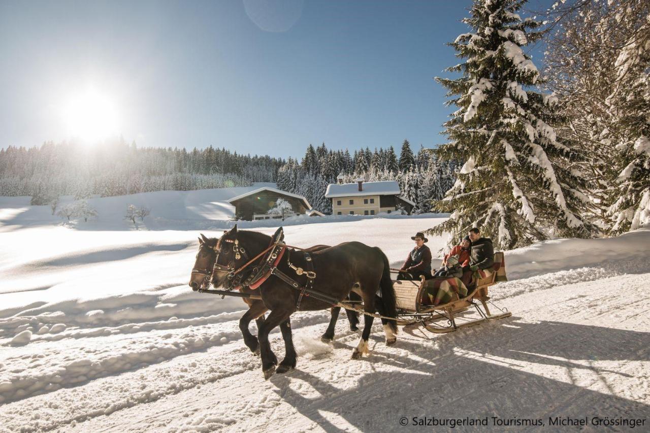 Hideaway Dachstein West By Alps Resorts Sankt Martin am Tennengebirge Ngoại thất bức ảnh